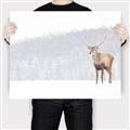 Picture of Winter Stag _GroupedProduct_Rectangle_Landscape_Canvas_