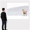 Picture of Winter Stag _GroupedProduct_Rectangle_Landscape_Canvas_