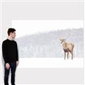 Picture of Winter Stag _GroupedProduct_Rectangle_Landscape_Canvas_