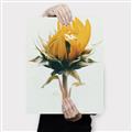 Picture of Yellow Bloom _GroupedProduct_Rectangle_Portrait_Photography _GroupedProduct_Rectangle_Portrait_Canvas_