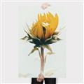Picture of Yellow Bloom _GroupedProduct_Rectangle_Portrait_Photography _GroupedProduct_Rectangle_Portrait_Canvas_