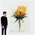 Picture of Yellow Bloom _GroupedProduct_Rectangle_Portrait_Photography _GroupedProduct_Rectangle_Portrait_Canvas_