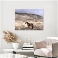 Picture of Lone Horse  _GroupedProduct_Rectangle_Landscape_Photography _GroupedProduct_Rectangle_Landscape_Canvas_