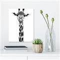 Picture of Long Neck II _GroupedProduct_Rectangle_Portrait_Photography _GroupedProduct_Rectangle_Portrait_Canvas_