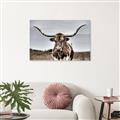 Picture of Longhorn Bull _GroupedProduct_Rectangle_Landscape_Photography _GroupedProduct_Rectangle_Landscape_Canvas_