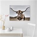 Picture of Longhorn Bull _GroupedProduct_Rectangle_Landscape_Photography _GroupedProduct_Rectangle_Landscape_Canvas_