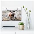 Picture of Longhorn Bull II _GroupedProduct_Rectangle_Landscape_Photography _GroupedProduct_Rectangle_Landscape_Canvas_