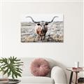 Picture of Longhorn Bull II _GroupedProduct_Rectangle_Landscape_Photography _GroupedProduct_Rectangle_Landscape_Canvas_