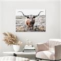 Picture of Longhorn Bull II _GroupedProduct_Rectangle_Landscape_Photography _GroupedProduct_Rectangle_Landscape_Canvas_