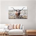 Picture of Longhorn Bull II _GroupedProduct_Rectangle_Landscape_Photography _GroupedProduct_Rectangle_Landscape_Canvas_