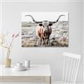 Picture of Longhorn Bull II _GroupedProduct_Rectangle_Landscape_Photography _GroupedProduct_Rectangle_Landscape_Canvas_