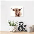 Picture of Maggie, the Cow  _GroupedProduct_Rectangle_Landscape_Photography _GroupedProduct_Rectangle_Landscape_Canvas_