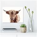 Picture of Maggie, the Cow  _GroupedProduct_Rectangle_Landscape_Photography _GroupedProduct_Rectangle_Landscape_Canvas_