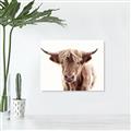 Picture of Maggie, the Cow  _GroupedProduct_Rectangle_Landscape_Photography _GroupedProduct_Rectangle_Landscape_Canvas_