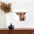 Picture of Maggie, the Cow  _GroupedProduct_Rectangle_Landscape_Photography _GroupedProduct_Rectangle_Landscape_Canvas_