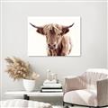 Picture of Maggie, the Cow  _GroupedProduct_Rectangle_Landscape_Photography _GroupedProduct_Rectangle_Landscape_Canvas_