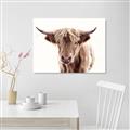 Picture of Maggie, the Cow  _GroupedProduct_Rectangle_Landscape_Photography _GroupedProduct_Rectangle_Landscape_Canvas_