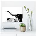 Picture of Max, the Bull _GroupedProduct_Rectangle_Landscape_Photography _GroupedProduct_Rectangle_Landscape_Canvas_