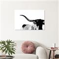 Picture of Max, the Bull _GroupedProduct_Rectangle_Landscape_Photography _GroupedProduct_Rectangle_Landscape_Canvas_