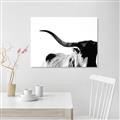 Picture of Max, the Bull _GroupedProduct_Rectangle_Landscape_Photography _GroupedProduct_Rectangle_Landscape_Canvas_