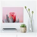 Picture of Mid Bloom _GroupedProduct_Rectangle_Landscape_Photography _GroupedProduct_Rectangle_Landscape_Canvas_