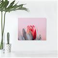Picture of Mid Bloom _GroupedProduct_Rectangle_Landscape_Photography _GroupedProduct_Rectangle_Landscape_Canvas_