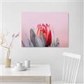 Picture of Mid Bloom _GroupedProduct_Rectangle_Landscape_Photography _GroupedProduct_Rectangle_Landscape_Canvas_