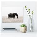 Picture of Out of Africa  _GroupedProduct_Rectangle_Landscape_Photography _GroupedProduct_Rectangle_Landscape_Canvas_