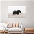 Picture of Out of Africa  _GroupedProduct_Rectangle_Landscape_Photography _GroupedProduct_Rectangle_Landscape_Canvas_