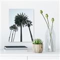 Picture of Palm Trees  _GroupedProduct_Rectangle_Portrait_Photography _GroupedProduct_Rectangle_Portrait_Canvas_