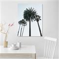 Picture of Palm Trees  _GroupedProduct_Rectangle_Portrait_Photography _GroupedProduct_Rectangle_Portrait_Canvas_