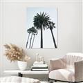 Picture of Palm Trees  _GroupedProduct_Rectangle_Portrait_Photography _GroupedProduct_Rectangle_Portrait_Canvas_