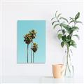 Picture of Palm Trees III _GroupedProduct_Rectangle_Portrait_Photography _GroupedProduct_Rectangle_Portrait_Canvas_