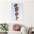 Picture of Palm Trees IV _GroupedProduct_Rectangle_Portrait_Photography _GroupedProduct_Rectangle_Portrait_Canvas_