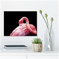 Picture of Pink in Contrast  _GroupedProduct_Rectangle_Landscape_Photography _GroupedProduct_Rectangle_Landscape_Canvas_