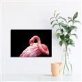 Picture of Pink in Contrast  _GroupedProduct_Rectangle_Landscape_Photography _GroupedProduct_Rectangle_Landscape_Canvas_