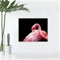 Picture of Pink in Contrast  _GroupedProduct_Rectangle_Landscape_Photography _GroupedProduct_Rectangle_Landscape_Canvas_