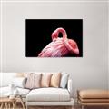 Picture of Pink in Contrast  _GroupedProduct_Rectangle_Landscape_Photography _GroupedProduct_Rectangle_Landscape_Canvas_