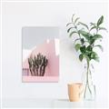 Picture of Pink Cactus II _GroupedProduct_Rectangle_Portrait_Photography _GroupedProduct_Rectangle_Portrait_Canvas_