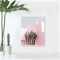 Picture of Pink Cactus II _GroupedProduct_Rectangle_Portrait_Photography _GroupedProduct_Rectangle_Portrait_Canvas_
