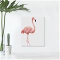 Picture of Pinkfully Perfect  _GroupedProduct_Rectangle_Portrait_Photography _GroupedProduct_Rectangle_Portrait_Canvas_