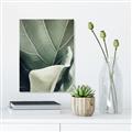 Picture of Sage Leaves  _GroupedProduct_Rectangle_Portrait_Photography _GroupedProduct_Rectangle_Portrait_Canvas_
