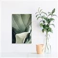 Picture of Sage Leaves  _GroupedProduct_Rectangle_Portrait_Photography _GroupedProduct_Rectangle_Portrait_Canvas_