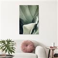 Picture of Sage Leaves  _GroupedProduct_Rectangle_Portrait_Photography _GroupedProduct_Rectangle_Portrait_Canvas_