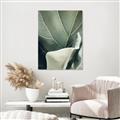 Picture of Sage Leaves  _GroupedProduct_Rectangle_Portrait_Photography _GroupedProduct_Rectangle_Portrait_Canvas_
