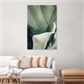 Picture of Sage Leaves  _GroupedProduct_Rectangle_Portrait_Photography _GroupedProduct_Rectangle_Portrait_Canvas_