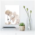 Picture of Sepia Botanic _GroupedProduct_Rectangle_Portrait_Photography _GroupedProduct_Rectangle_Portrait_Canvas_