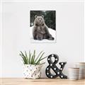 Picture of Snowy Bear _GroupedProduct_Rectangle_Portrait_Photography _GroupedProduct_Rectangle_Portrait_Canvas_