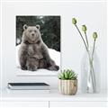 Picture of Snowy Bear _GroupedProduct_Rectangle_Portrait_Photography _GroupedProduct_Rectangle_Portrait_Canvas_