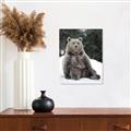 Picture of Snowy Bear _GroupedProduct_Rectangle_Portrait_Photography _GroupedProduct_Rectangle_Portrait_Canvas_